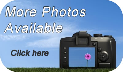 Book  online